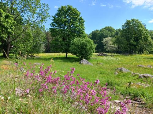 Månsarps skogs- och alpackagård (Mansarps skogs- och alpackagard) in 빔메르뷔 시티 센터 Månsarps skogs- och alpackagård (Mansarps skogs- och alpackagard) in 빔메르뷔 시티 센터