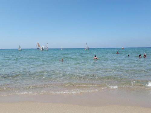 Appartement f2 Algérie skikda bouzaroura proche de la mère (Appartement f2 Algerie skikda bouzaroura proche de la mere) in Skikda Appartement f2 Algérie skikda bouzaroura proche de la mère (Appartement f2 Algerie skikda bouzaroura proche de la mere) in Skikda