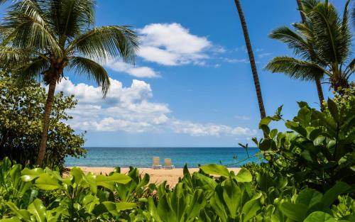 ชายหาด, ริงกอน ออฟ เดอะ ซี กรัน การิบเบียน โฮเต็ล (Rincon of the Seas Gran Caribbean Hotel) in รินคอน ชายหาด, ริงกอน ออฟ เดอะ ซี กรัน การิบเบียน โฮเต็ล (Rincon of the Seas Gran Caribbean Hotel) in รินคอน