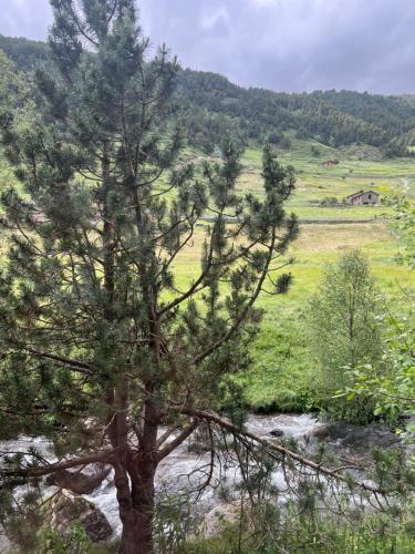 PORT DRET - Peu del Riu 202 - Vall d'Incles - Soldeu in Soldeu PORT DRET - Peu del Riu 202 - Vall d'Incles - Soldeu in Soldeu