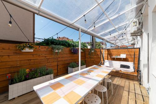 Iris Agata in Ohrid Iris Agata in Ohrid