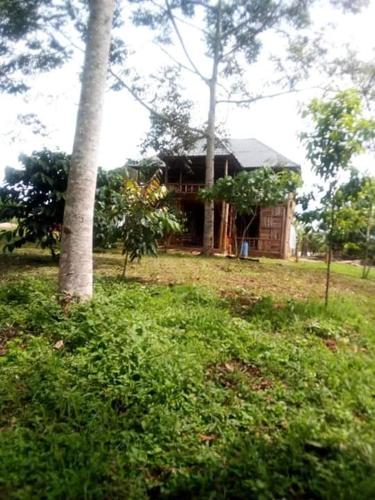 Kibale Forest Cottages And Campsite in פורט פורטל Kibale Forest Cottages And Campsite in פורט פורטל