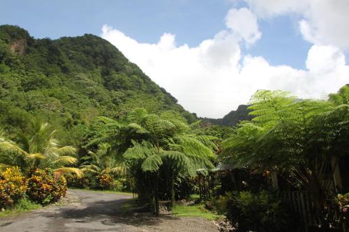 Nearby attraction, Natty Tropical Valley in Saint George Nearby attraction, Natty Tropical Valley in Saint George