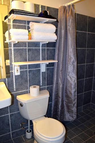 在meiguo.com看到的Detroit Vacation Rentals的介绍图片