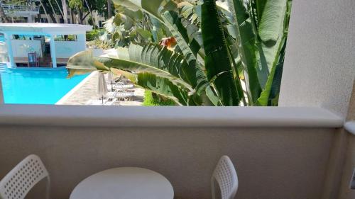 Erkély/terasz, Tropical Casa Laguna in Cabarete Erkély/terasz, Tropical Casa Laguna in Cabarete