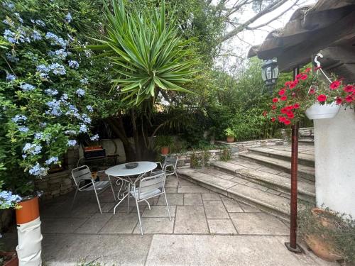 Jardin, Les palmiers in Vallon de Coste Jardin, Les palmiers in Vallon de Coste