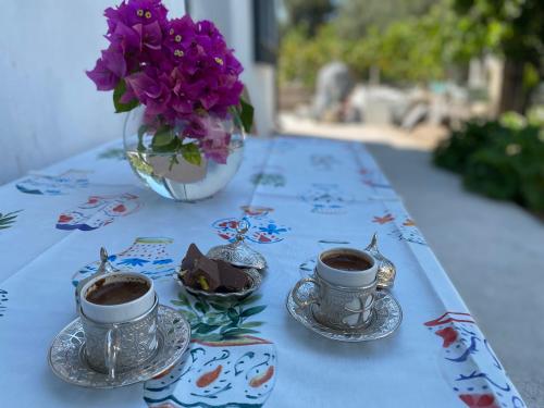 Mordoğan Merkezde,Denize Yakın,Bahçeli Villa (Mordogan Merkezde,Denize Yakın,Bahceli Villa) in Mordogan Mordoğan Merkezde,Denize Yakın,Bahçeli Villa (Mordogan Merkezde,Denize Yakın,Bahceli Villa) in Mordogan