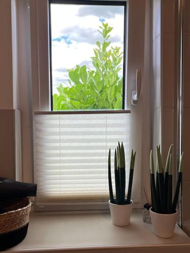 浴室, Appartement Büchensaal mit Stellplatz (Appartement Buchensaal mit Stellplatz) in 埃爾倫塞 浴室, Appartement Büchensaal mit Stellplatz (Appartement Buchensaal mit Stellplatz) in 埃爾倫塞