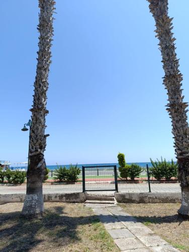 Adenaz Apartmanları tatil köyü (Adenaz Apartmanları tatil koyu) in Erdemli Adenaz Apartmanları tatil köyü (Adenaz Apartmanları tatil koyu) in Erdemli