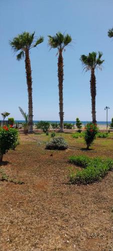 Adenaz Apartmanları tatil köyü (Adenaz Apartmanları tatil koyu) in Erdemli Adenaz Apartmanları tatil köyü (Adenaz Apartmanları tatil koyu) in Erdemli