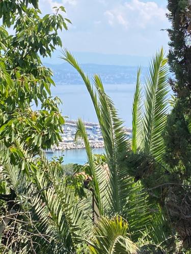 Villa Salyna in Opatija Villa Salyna in Opatija