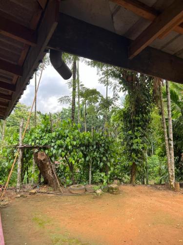 soha bungalow-escape the city in Kurunegala soha bungalow-escape the city in Kurunegala