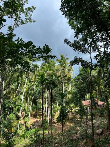 soha bungalow-escape the city in Kurunegala soha bungalow-escape the city in Kurunegala
