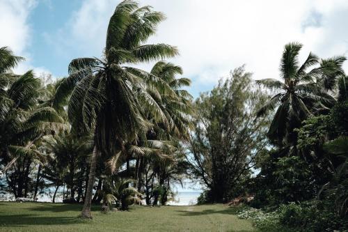 playa, Tai'inu Bungalows in Aitutaki playa, Tai'inu Bungalows in Aitutaki