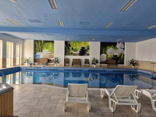 Conacul Domnesc in Suceava Conacul Domnesc in Suceava