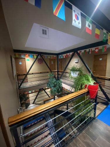 Hostal Ayiwün (Hostal Ayiwun) in Concepcion Hostal Ayiwün (Hostal Ayiwun) in Concepcion