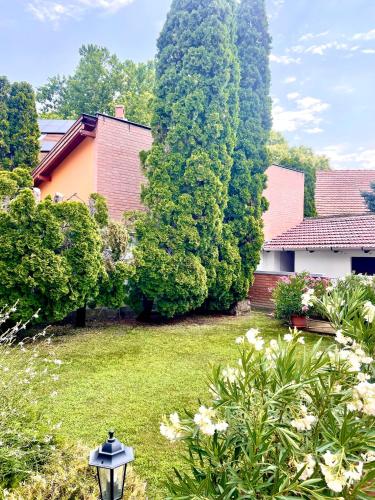 Barat Vendeghaz - Cosy Guesthouse - Teljes haz privat udvarral - 4 szoba, 2 furdo in Hattyastelep Barat Vendeghaz - Cosy Guesthouse - Teljes haz privat udvarral - 4 szoba, 2 furdo in Hattyastelep