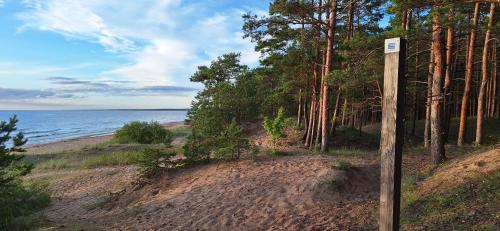 Strand, Guest house Saulkrasti in Saulkrasti Strand, Guest house Saulkrasti in Saulkrasti