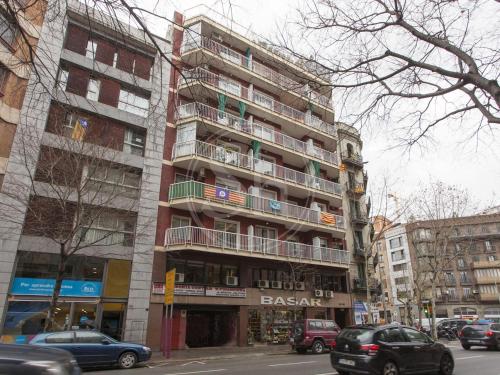 Apartment for 8 people