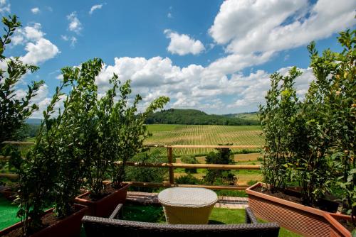 ระเบียง/ชานเรือน, Torciano Hotel Wine & Winery, Tuscany in อูลิญญาโน ระเบียง/ชานเรือน, Torciano Hotel Wine & Winery, Tuscany in อูลิญญาโน