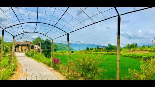 Ympäristö, Dồn Dao Homestay in Quan Ba Ympäristö, Dồn Dao Homestay in Quan Ba