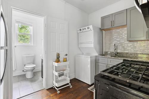 Druid Dreamscape in Emory Druid Dreamscape in Emory