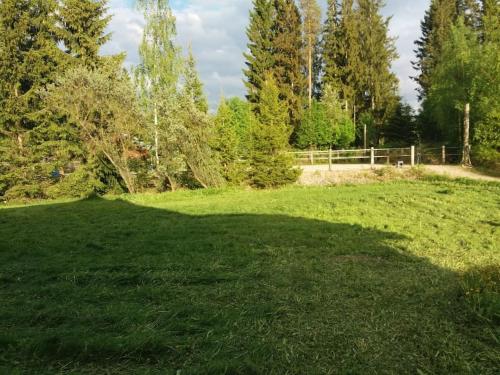 Rauhallinen talo maaseudulla 9km Seinajoelta in Seinajoki Rauhallinen talo maaseudulla 9km Seinajoelta in Seinajoki