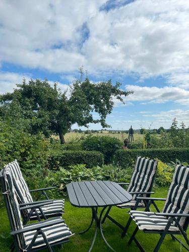 Garden, Adagio pa Osterlen in Simrishamn Garden, Adagio pa Osterlen in Simrishamn