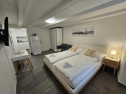 Hotel Surselva in Chur City Center Hotel Surselva in Chur City Center