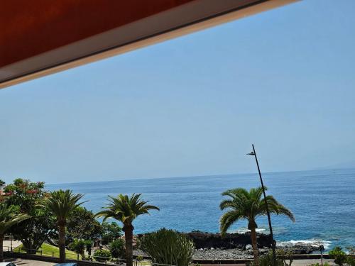 Aimée maritima puerto santiago