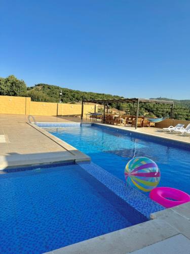 Swimming pool, Mountain farm in Ajloun Swimming pool, Mountain farm in Ajloun