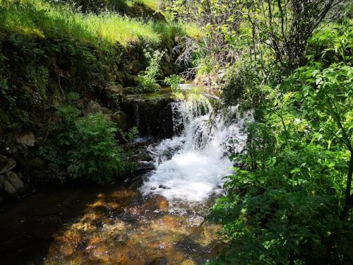 المنطقة المحيطة, Aroma das Tílias (Aroma das Tilias) in Proenca a Nova المنطقة المحيطة, Aroma das Tílias (Aroma das Tilias) in Proenca a Nova