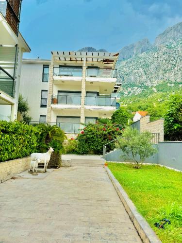 المنظر الخارجي, Orahovac sunny port in أوراهوفاك المنظر الخارجي, Orahovac sunny port in أوراهوفاك