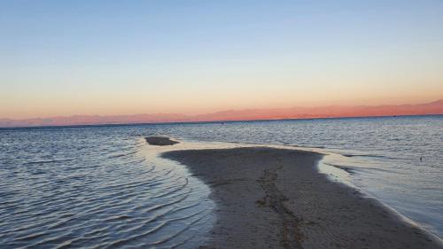 Eden camp in الواجهة البحرية لنويبع Eden camp in الواجهة البحرية لنويبع