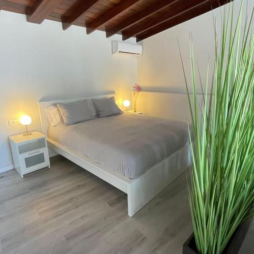 Ático Loft de lujo con gran terraza