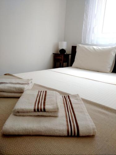 Karastoyanovi's apartment- Studentski grad