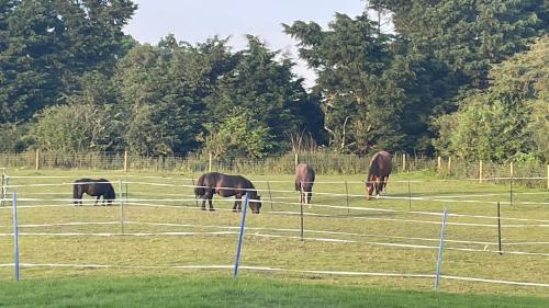 Tranquil Equestrian Escape - Sleeps 2 in Mablethorpe Tranquil Equestrian Escape - Sleeps 2 in Mablethorpe