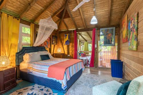 Bauhinia- in Saint George Bauhinia- in Saint George