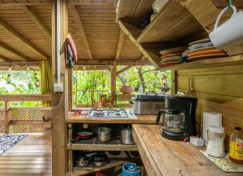 Bauhinia- in Saint George Bauhinia- in Saint George