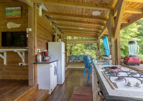 Bauhinia- in Saint George Bauhinia- in Saint George