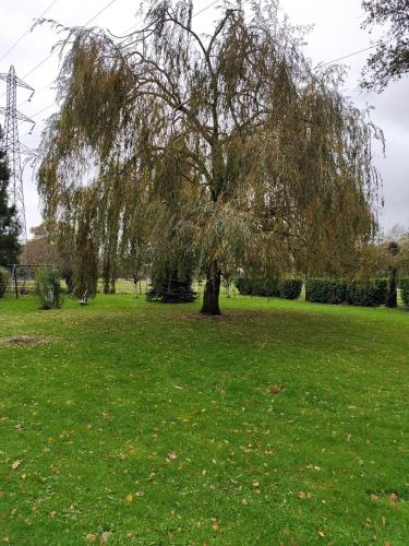 Garden, Gite Le Clos Maridor - Grande Longere Normande -15 personnes in Saint-Martin-Saint-Firmin Garden, Gite Le Clos Maridor - Grande Longere Normande -15 personnes in Saint-Martin-Saint-Firmin