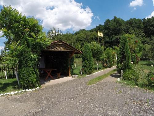 Pensiunea Vidra in Байле Фелікс Pensiunea Vidra in Байле Фелікс