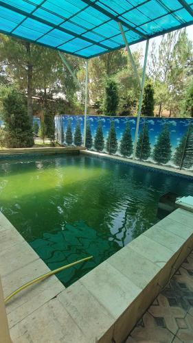 泳池, ADMIRAL in 泰爾梅茲 泳池, ADMIRAL in 泰爾梅茲