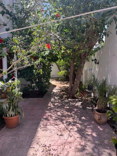 Furnished Studio in คาร์เธจ Furnished Studio in คาร์เธจ