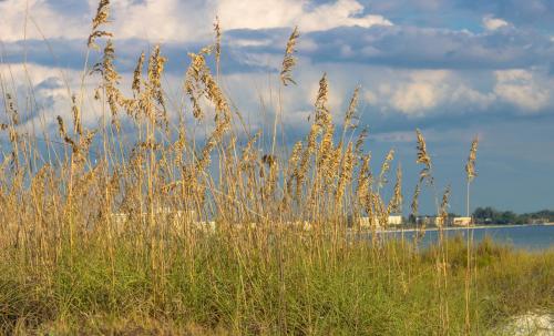 在meiguo.com看到的Minorga on the Key by Beachside Management的介绍图片