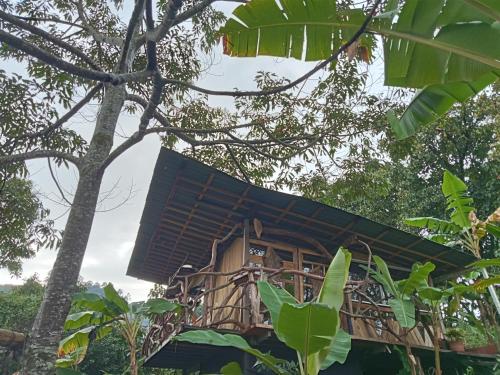 "refugio entre montañas" lalomaecolodge ("refugio entre montanas" lalomaecolodge) in 문도 누에보 "refugio entre montañas" lalomaecolodge ("refugio entre montanas" lalomaecolodge) in 문도 누에보