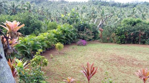 Piitake camping Ua-Huka in جزر ماركيساس Piitake camping Ua-Huka in جزر ماركيساس