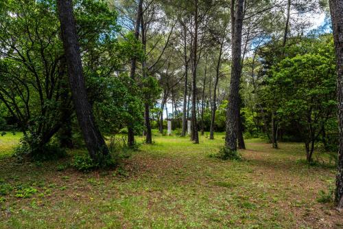Surrounding environment, Vue sur parc avec petanque, basket, clim et Tramway in Castelnau-le-Lez Surrounding environment, Vue sur parc avec petanque, basket, clim et Tramway in Castelnau-le-Lez