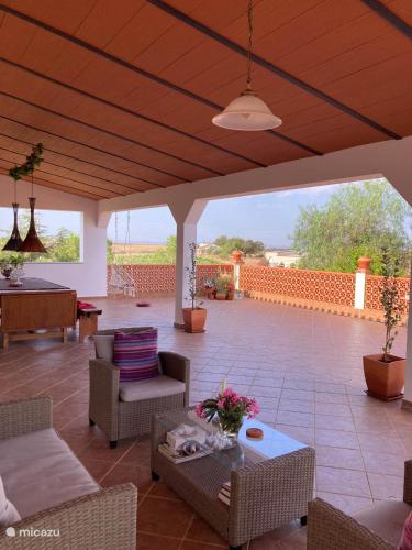 สิ่งอำนวยความสะดวก, Quinta Monte da Azinheira in ซาฟาร่า สิ่งอำนวยความสะดวก, Quinta Monte da Azinheira in ซาฟาร่า