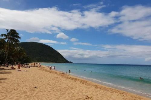 Strand, La Perle d'Alice in Bas Vent Strand, La Perle d'Alice in Bas Vent